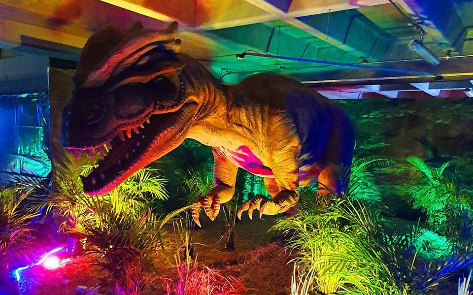Expo de dinosaurios en la CDMX: boletos, horarios y todo lo que debes saber  - La Prensa | Noticias policiacas, locales, nacionales