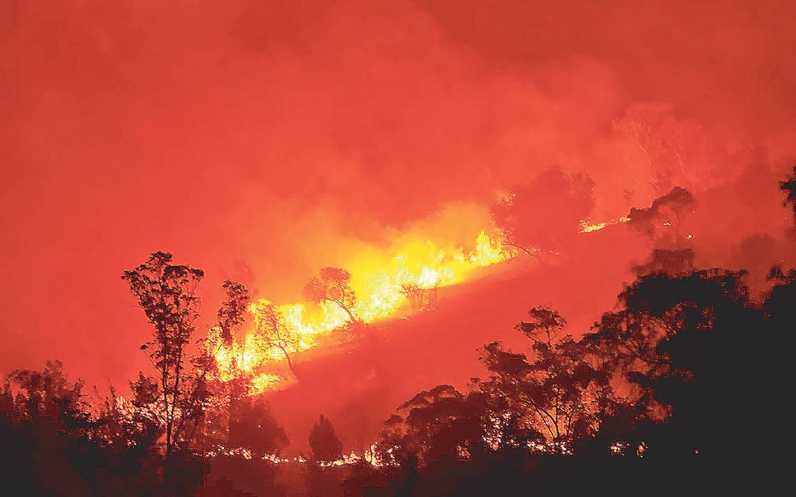 El 100% de los incendios forestales son provocados por actividades humanas  y vandalismo: Corenadr - La Prensa | Noticias policiacas, locales,  nacionales
