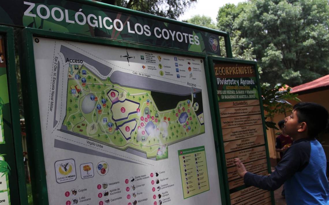 Ex operador de La Feria de Chapultepec, se queda con los zoológicos de la  CDMX - La Prensa | Noticias policiacas, locales, nacionales