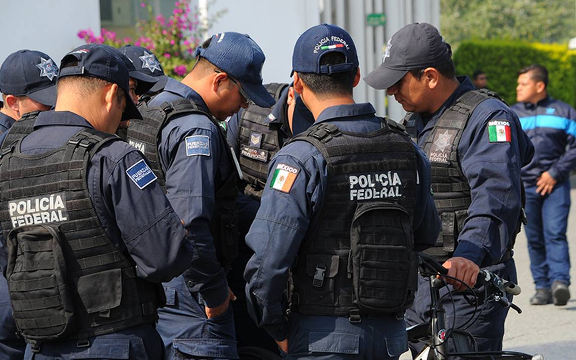VIDEO) Surge el corrido de la Policía Federal en medio del conflicto - La  Prensa | Noticias policiacas, locales, nacionales